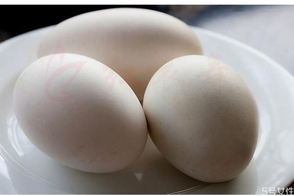 鹅蛋有什么营养价值呢 吃鹅蛋有什么好处呢
