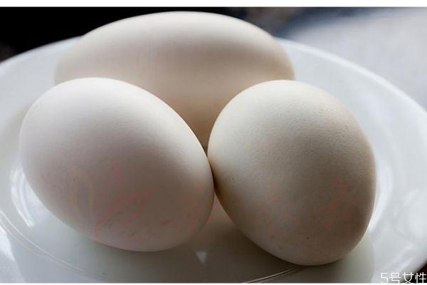鹅蛋的营养价值是什么吃鹅蛋有什么好处