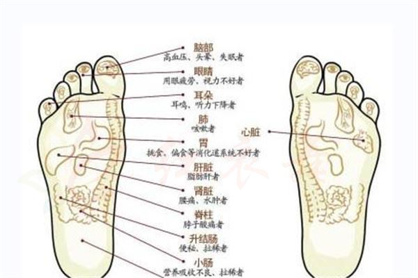 脚上有哪些穴位 哪些穴位代表身体健康
