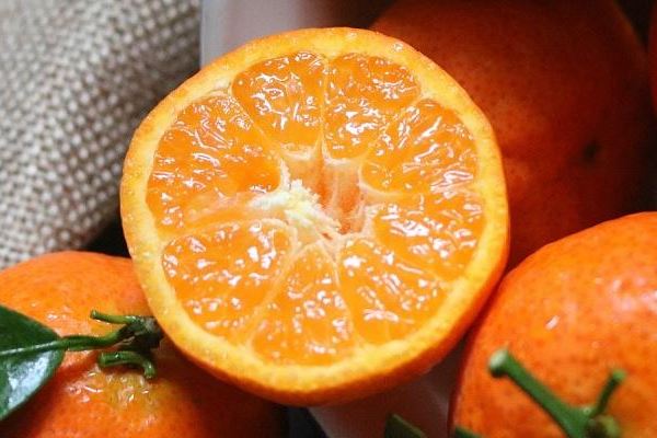 哪种粒化橘子好吃？三种砂糖橘各有各的