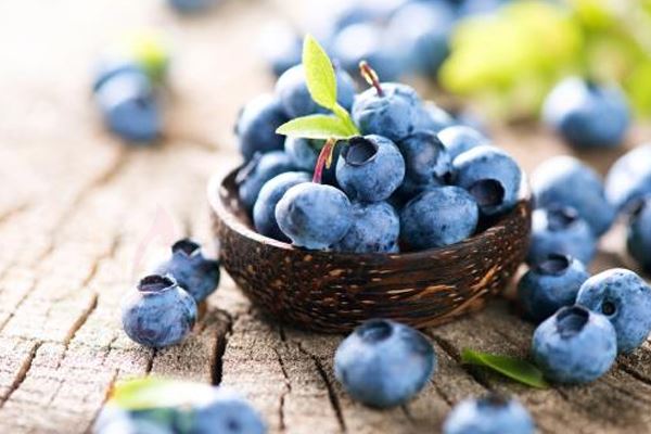 在国内蓝莓产区 哪里是鉴别这些区域的最