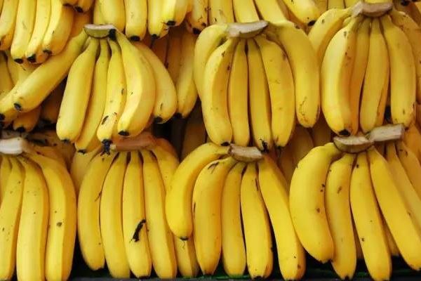 香蕉中间硬的能吃吗 催熟香蕉损伤肝脑