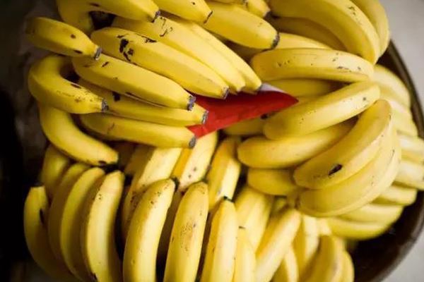 香蕉中间硬的能吃吗 催熟香蕉损伤肝脑