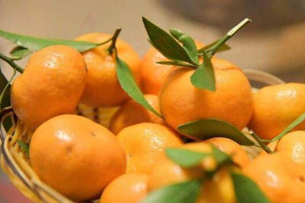 蜜橘和砂糖橘如何区分 蜜橘和砂糖橘的图片