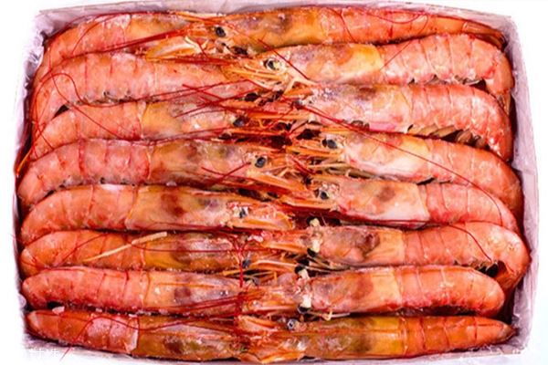 阿根廷红虾有活的么 离开自己的家无法存活