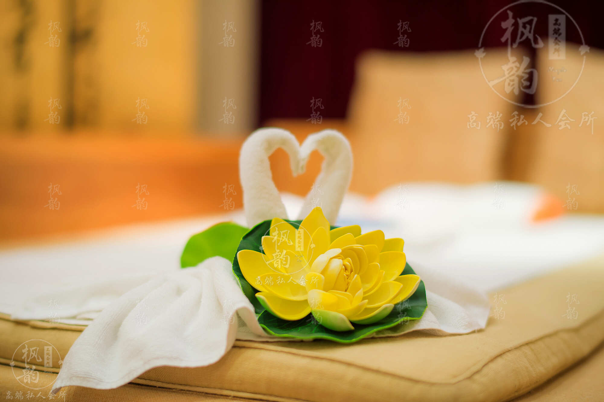 惠州高端SPA，特色体验各不同