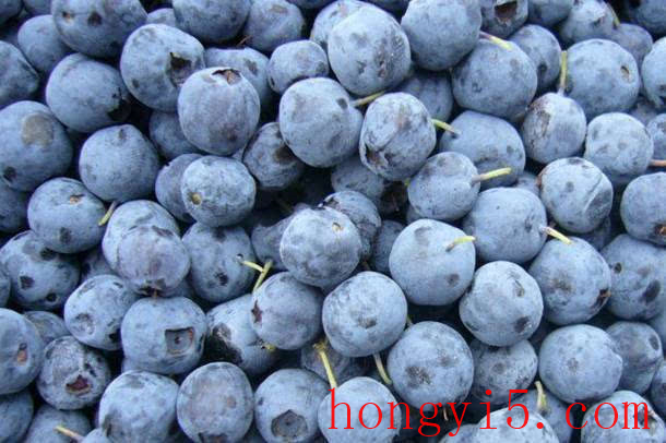 蓝莓汁什么时候喝最好  蓝莓汁怎么榨