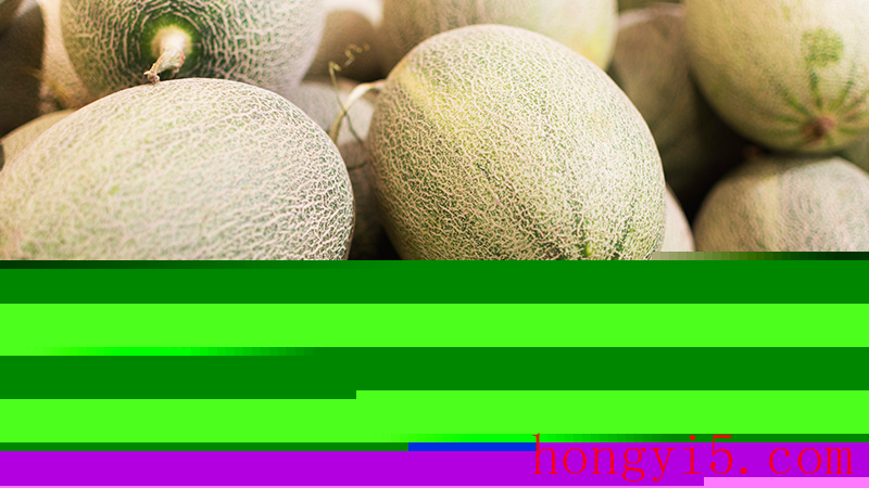 哈密瓜几月份最好吃 哈密瓜几月份吃最好