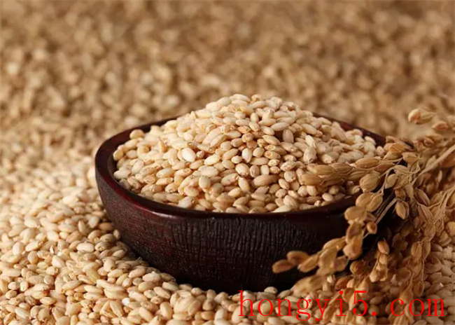糙米有什么药用价值 糙米的药用