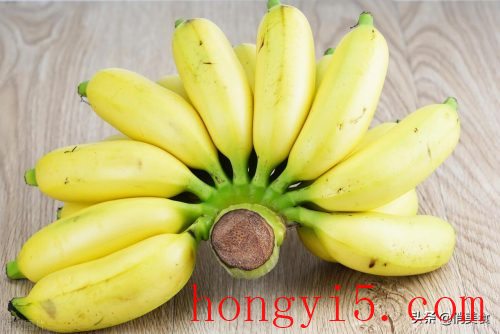 香蕉和芭蕉的区别(香蕉树和芭蕉树区别