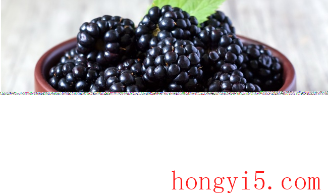 黑莓和桑葚的区别 黑莓等于桑葚吗