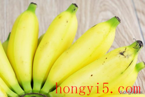 香蕉和芭蕉的区别(香蕉树和芭蕉树区别)插图5