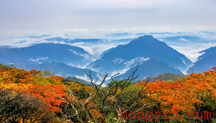 贵州省旅游景点 贵州有哪些旅游景点比较好玩