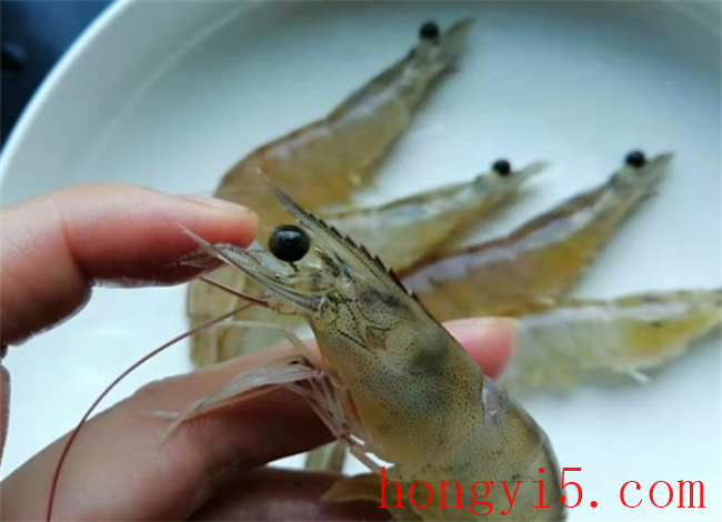 香酥大虾怎么做 香酥虾的做法