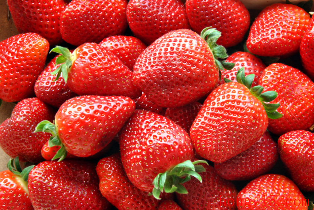 草莓能冷藏吗 草莓能放冷藏保存吗