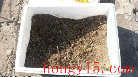 第4步：准备土壤
