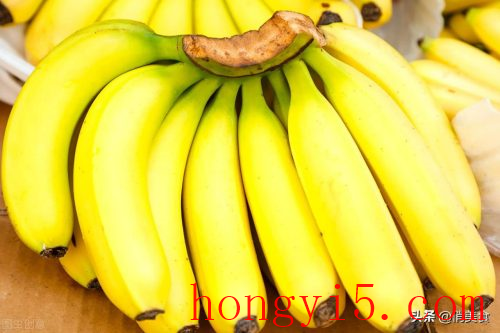 香蕉和芭蕉的区别(香蕉树和芭蕉树区别)插图6
