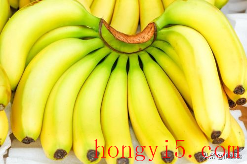 香蕉和芭蕉的区别(香蕉树和芭蕉树区别)插图2