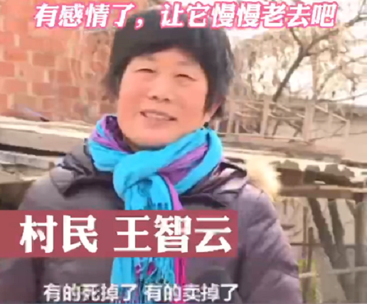 江苏一只鹅活了27年，农户称想让它慢慢变老，网友：比我年纪还大