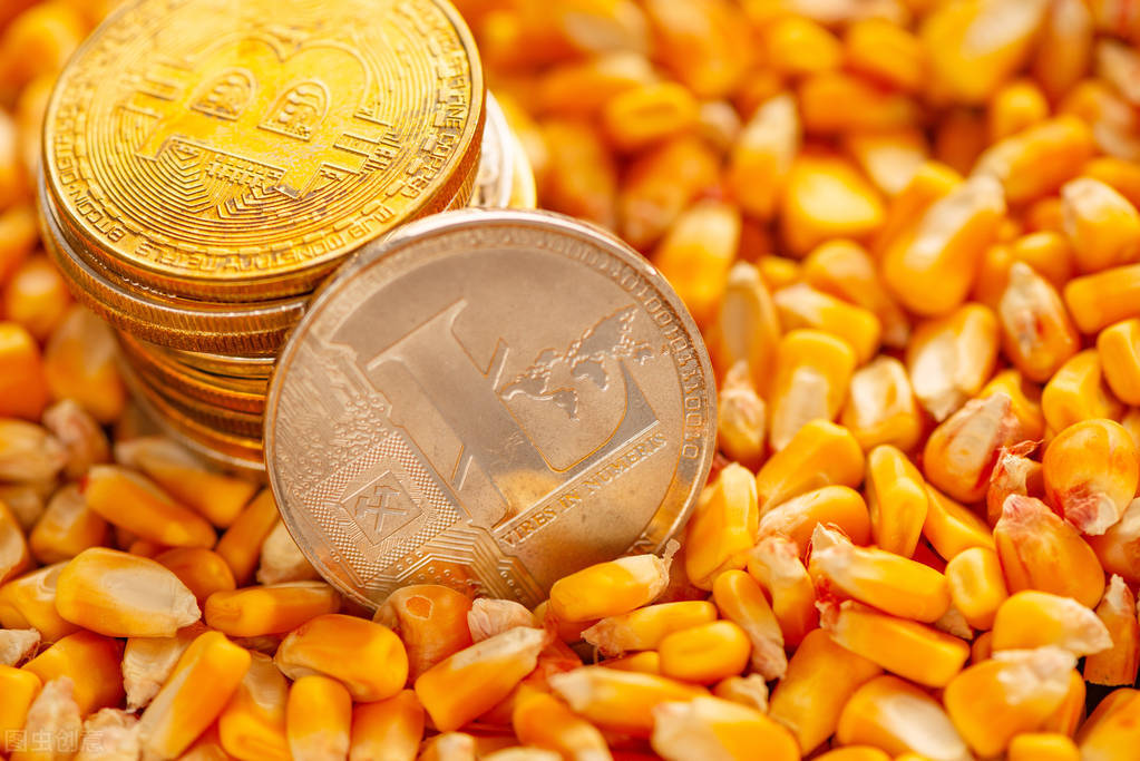 玉米价格终于绷不住了，继续大面积下跌