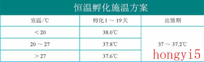 孵化小鸡要多少温度和湿度（孵化小鸡的最佳温度）(图3)
