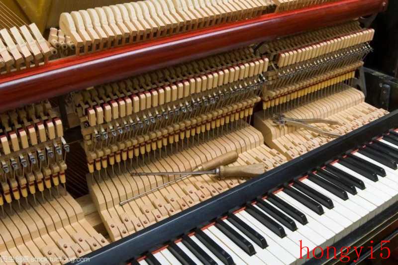 电子琴和电钢琴的区别哪个更好一些（电子钢琴与钢琴有什么区别图片）(图2)