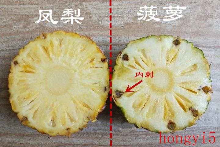 你们知道菠萝和凤梨有什么区别吗-（菠萝和凤梨有什么区别吗）(图5)