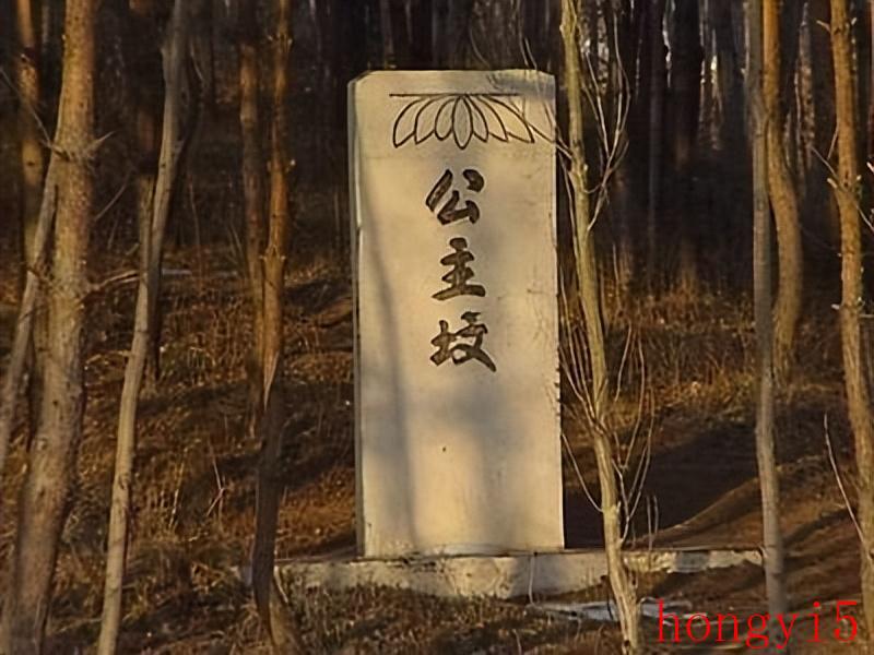 北京公主坟葬的是哪位公主（北京公主坟的来历）(图5)