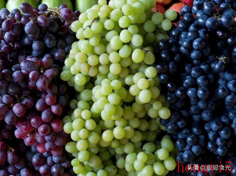 现在什么品种葡萄最好吃（目前最好的葡萄品种排名前十）(图1)