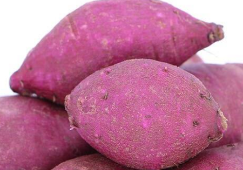 紫薯煮多久能熟 怎么煮不会烂