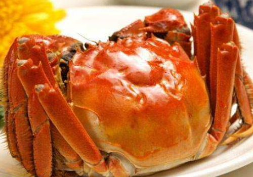 大闸蟹怎么看肉多肉少 怎么看新鲜不新鲜