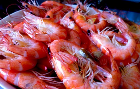 煮虾用热水还是冷水 青虾多少钱一斤