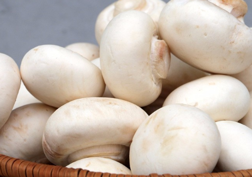 奶油蘑菇汤的做法 用什么蘑菇