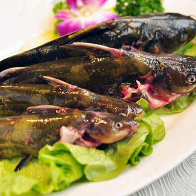 黄辣丁鱼多少钱一斤 做法大全