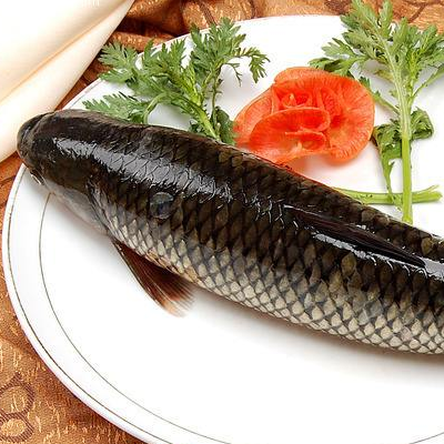 草鱼怎么做好吃又简单 和青鱼的区别