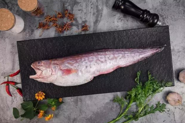 花胶是什么鱼的鱼肚 怎么看真假辨别