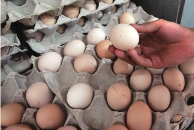 煮鸡蛋需要多长时间 1分钟和15分钟有什么