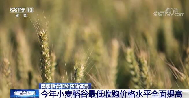 目前夏粮生产形势总体较好 今年小麦稻谷最低收购价格水平全面提高