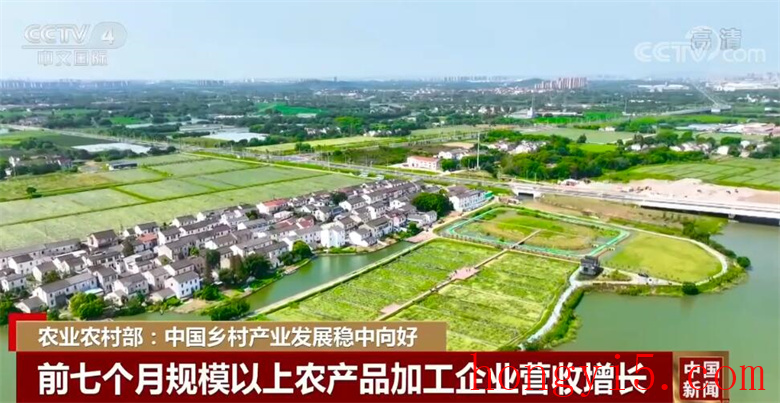 中国乡村产业发展稳中向好 上半年全国农村网络零售额9758.3亿元