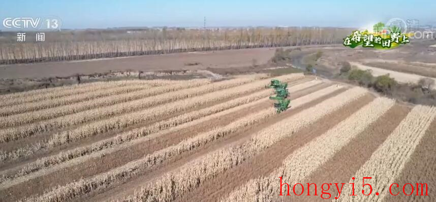 在希望的田野上 | 吉林公主岭玉米大豆迎丰收 预计10月底收割完毕
