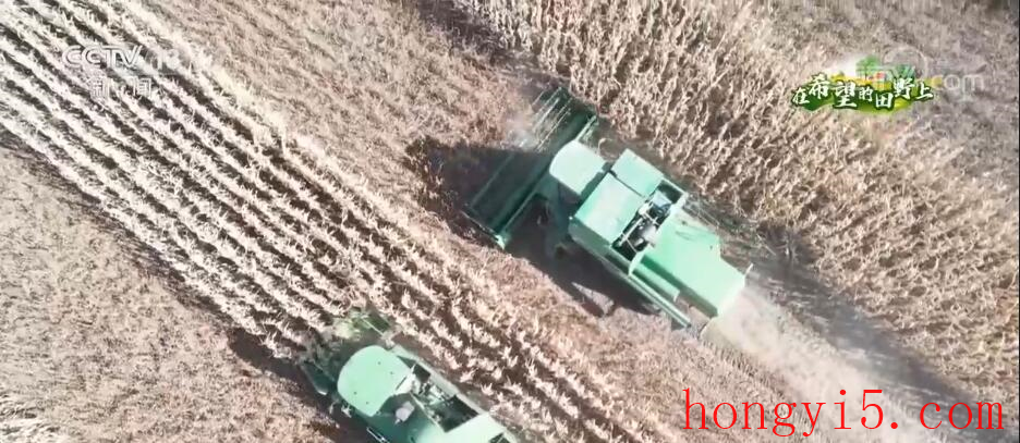 吉林公主岭玉米大豆迎丰收 一季双收提升产量效益