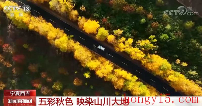 宁夏西吉迎来最绚丽的季节 五彩秋色映染山川大地